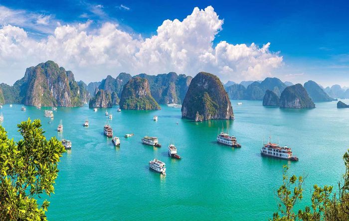 Việt Nam được vinh danh là 'Điểm đến hàng đầu châu Á' năm 2021