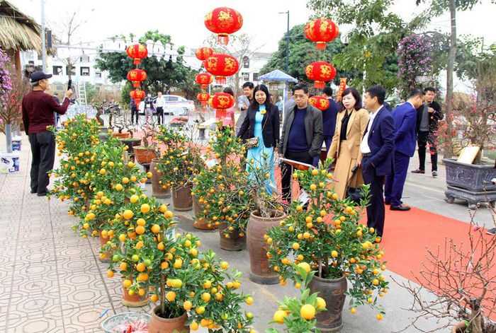 Hội hoa đào Nhật Tân