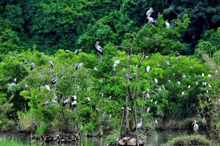 Vườn quốc gia của Việt Nam 3 lần được vinh danh 'hàng đầu châu Á