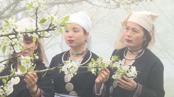 Tuyên Quang: Chuẩn bị khai hội Lễ hội hoa Lê Hồng Thái