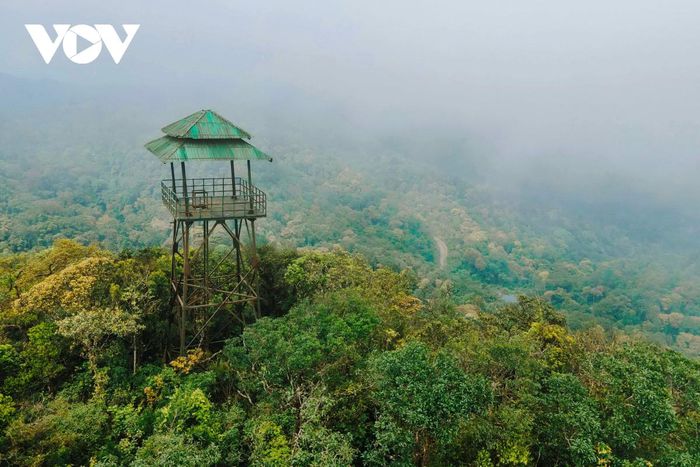 Lên đỉnh U Bò, ngắm rừng Phong Nha - Kẻ Bàng mùa thay lá