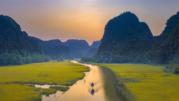 Mơ màng giữa sắc vàng thơ mộng của cánh đồng ‘đẹp nhất Việt Nam’ mùa lúa chín