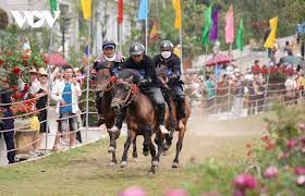 Hấp dẫn giải đua 'Vó ngựa trên mây' giữa thung lũng hoa hồng lớn nhất Việt Nam