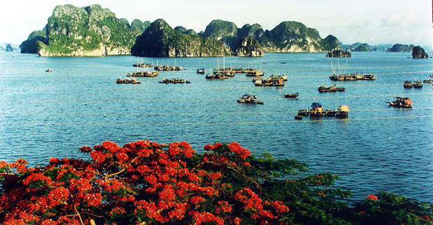 Danh Sách 28 Di Sản Thế Giới Được UNESCO Công Nhận Tại Việt Nam